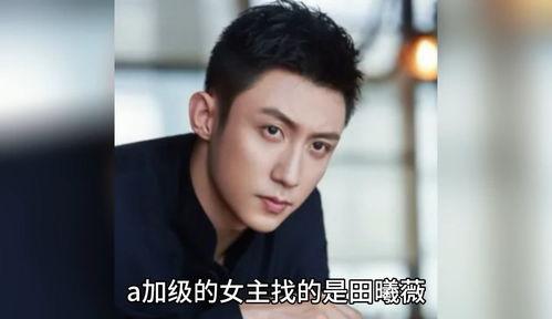 在娱乐圈吃瓜八卦的小说,幕后风云，瓜田乱舞  第1张